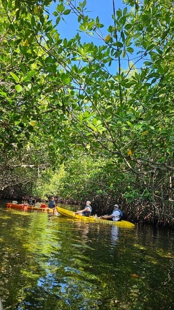 undefined Gallery Image 1