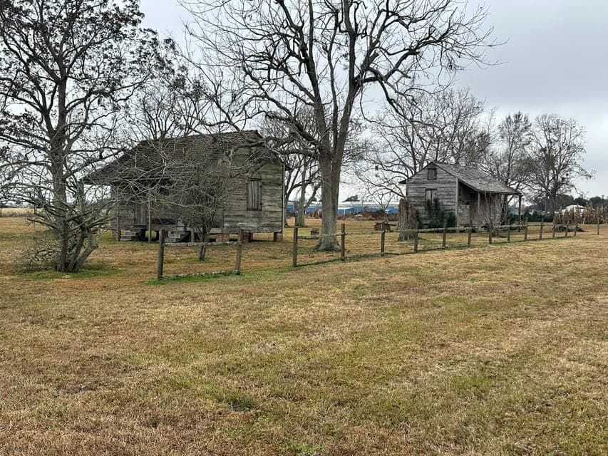 undefined Gallery Image 1