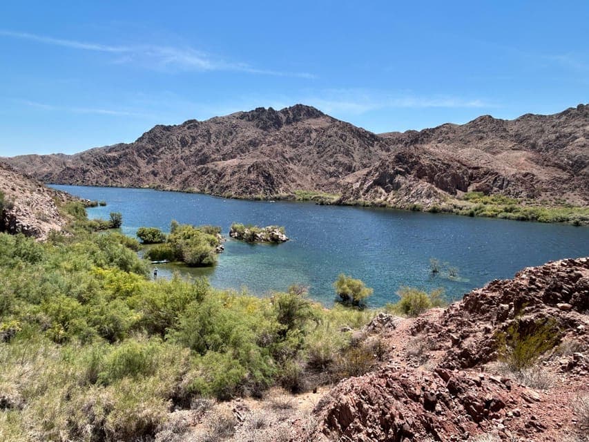 undefined Gallery Image 4