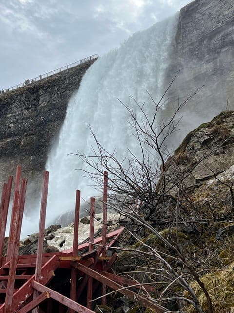 undefined Gallery Image 2