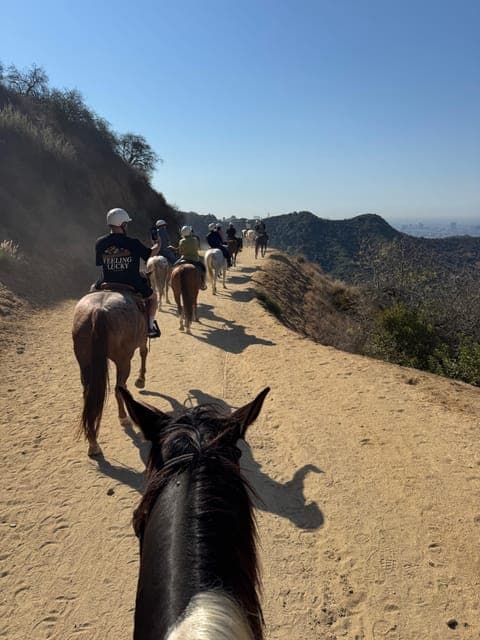 undefined Gallery Image 1