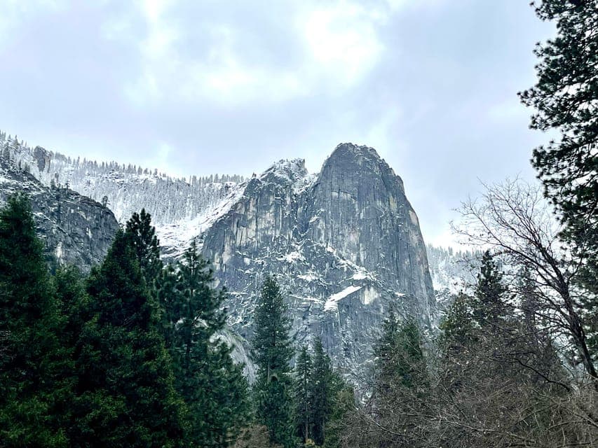 undefined Gallery Image 1