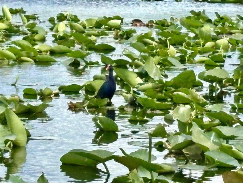 undefined Gallery Image 4