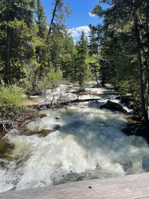 undefined Gallery Image 2