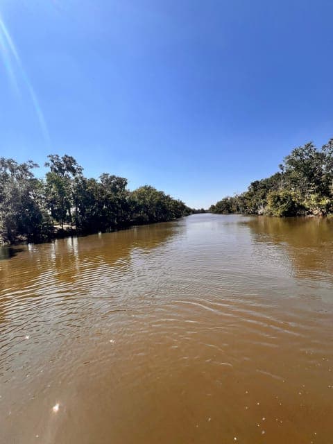 undefined Gallery Image 1