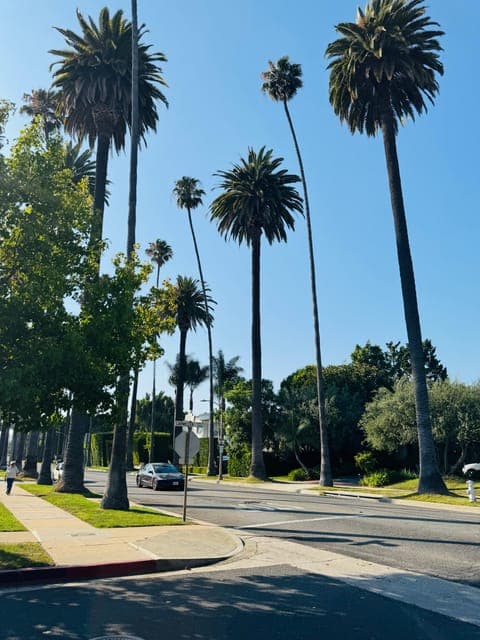 undefined Gallery Image 1