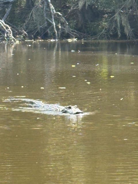 undefined Gallery Image 1