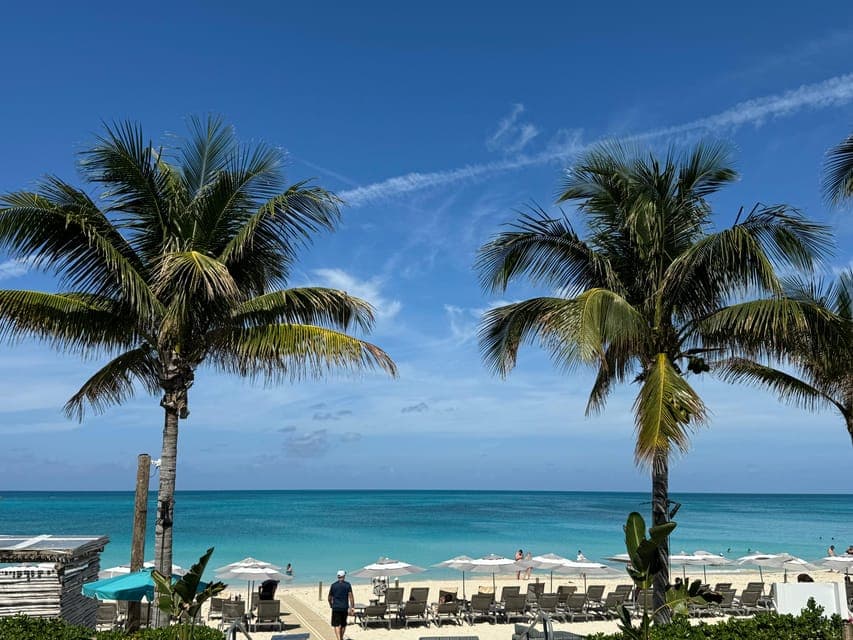 undefined Gallery Image 1