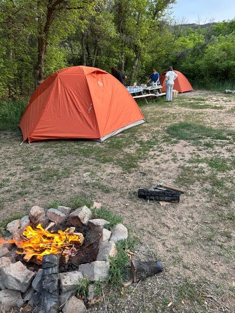 undefined Gallery Image 4