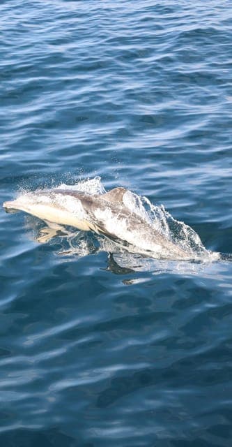 undefined Gallery Image 3