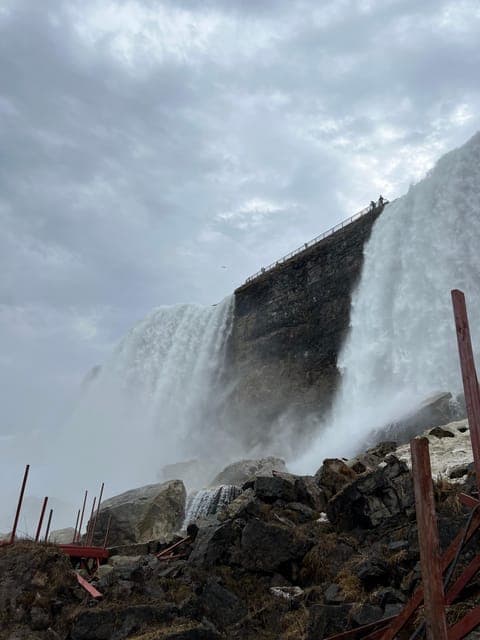 undefined Gallery Image 4