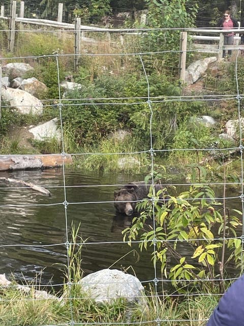 undefined Gallery Image 2