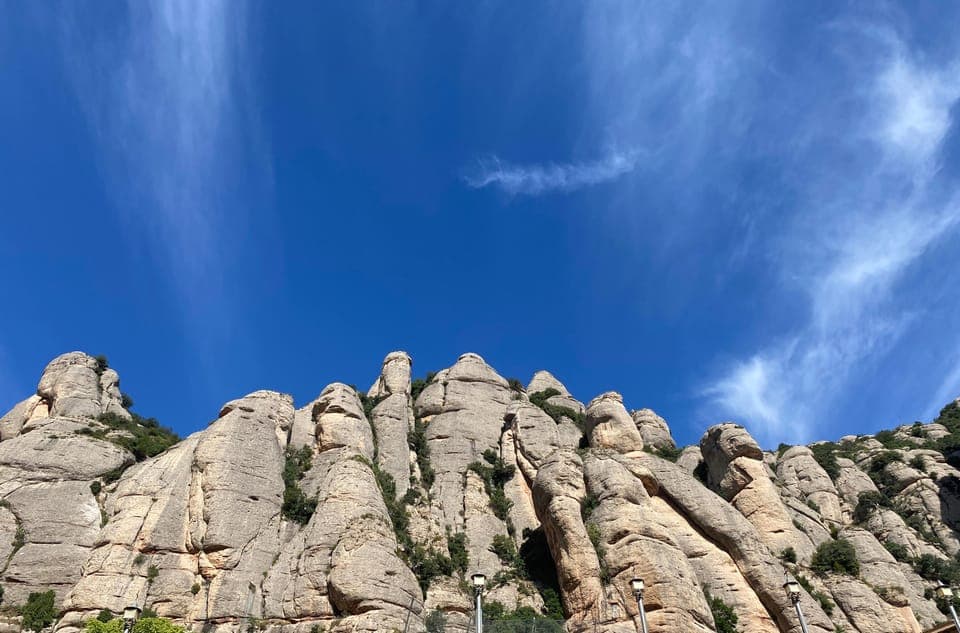 undefined Gallery Image 4