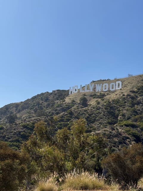 undefined Gallery Image 1