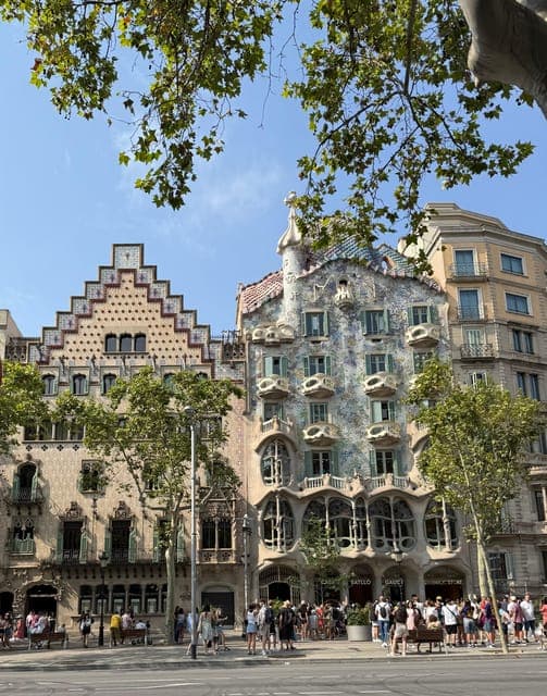 undefined Gallery Image 3