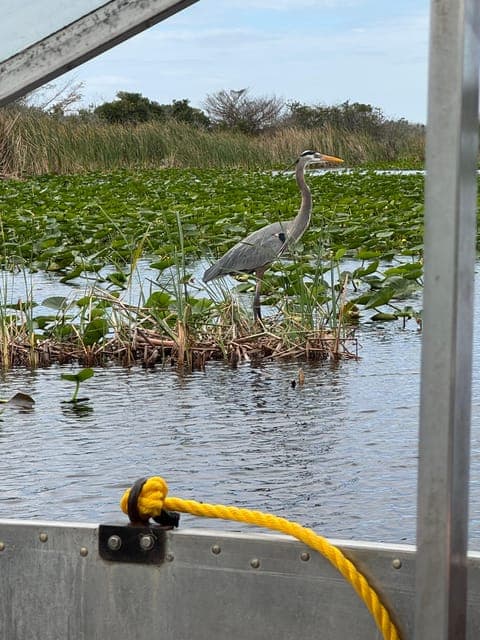 undefined Gallery Image 3