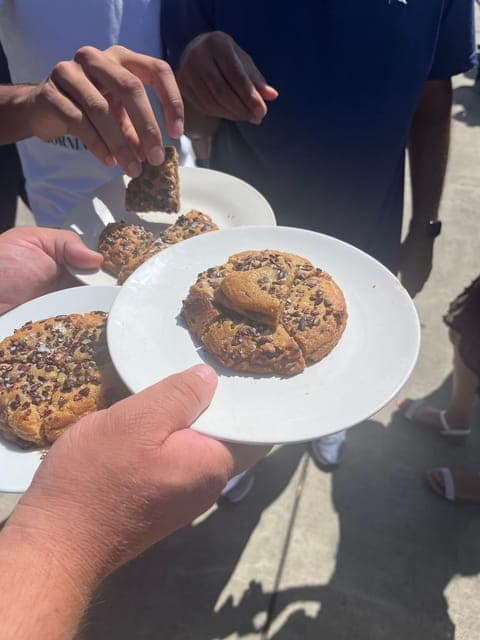 undefined Gallery Image 1