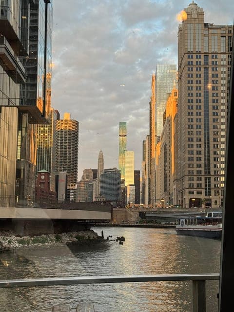 undefined Gallery Image 4