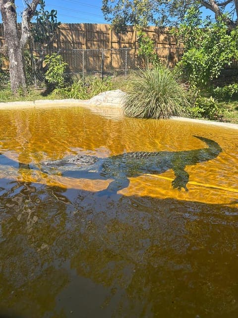 undefined Gallery Image 2