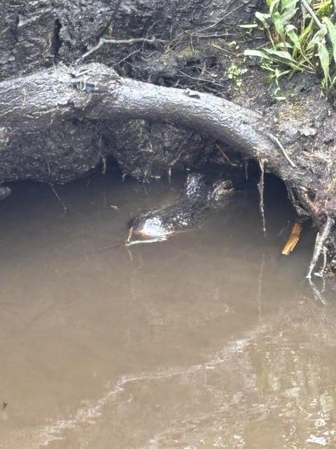 undefined Gallery Image 3