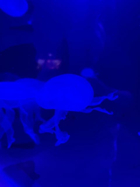 undefined Gallery Image 4