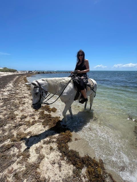 undefined Gallery Image 3