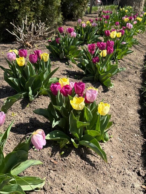 undefined Gallery Image 2