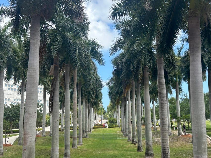 undefined Gallery Image 4