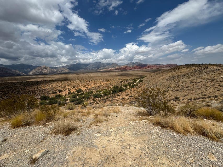 undefined Gallery Image 3