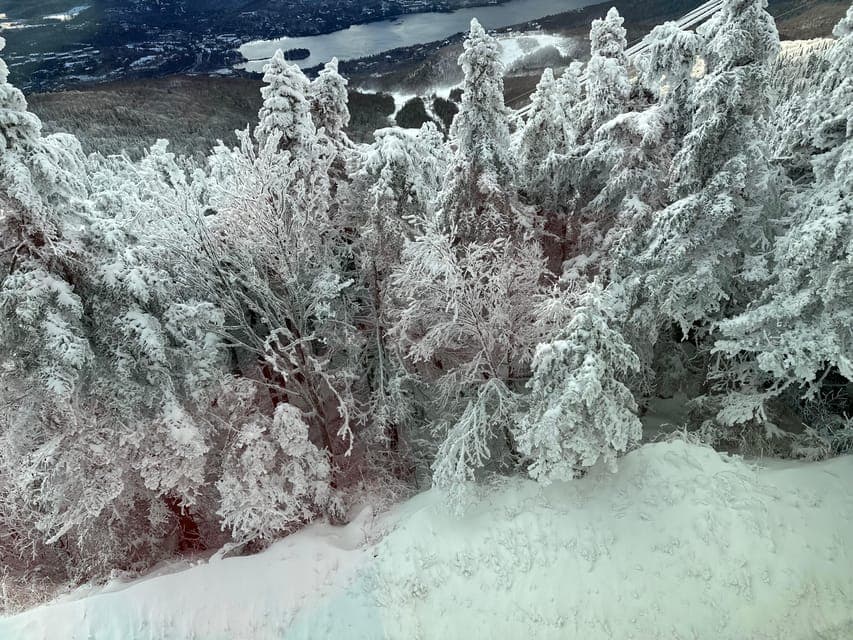 undefined Gallery Image 1