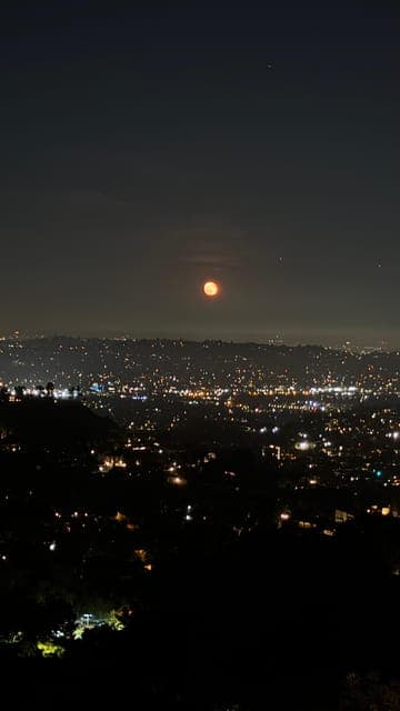 undefined Gallery Image 3