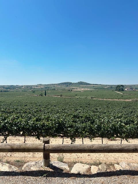 undefined Gallery Image 1