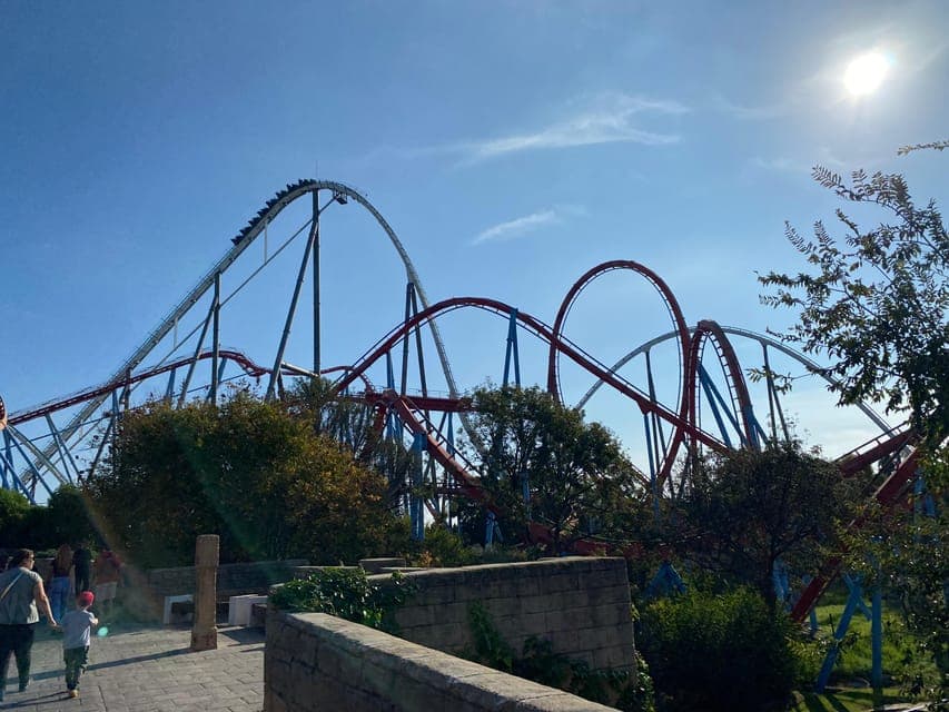 undefined Gallery Image 4