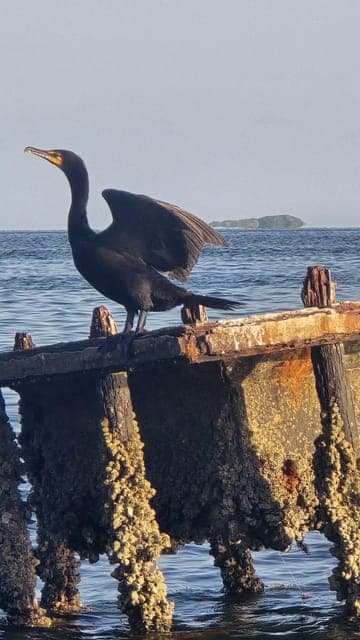 undefined Gallery Image 4