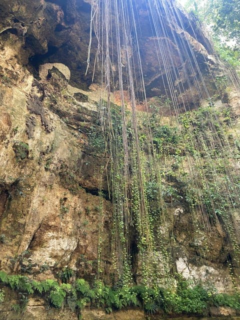 undefined Gallery Image 4