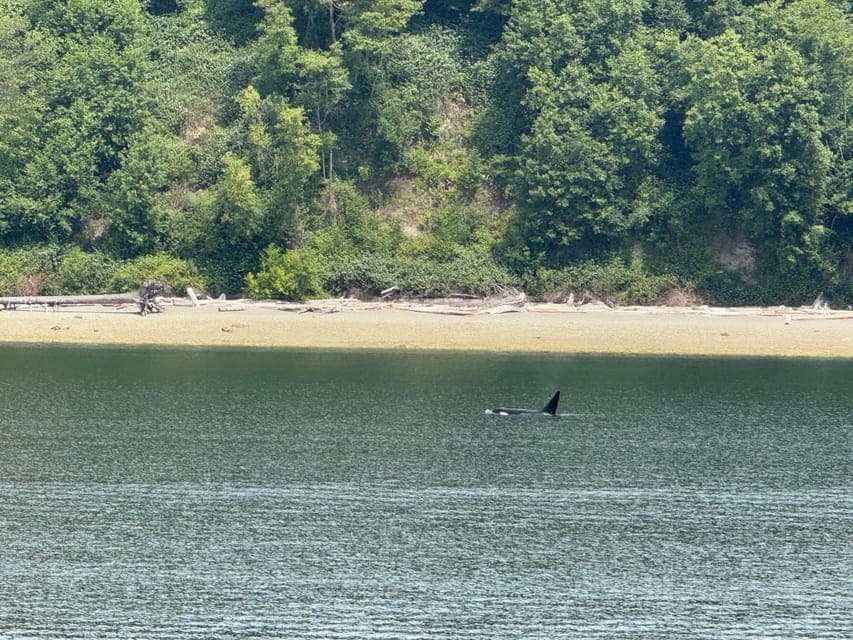 undefined Gallery Image 2