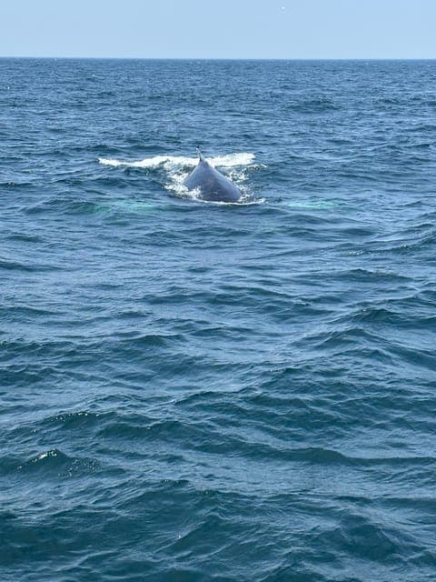 undefined Gallery Image 4