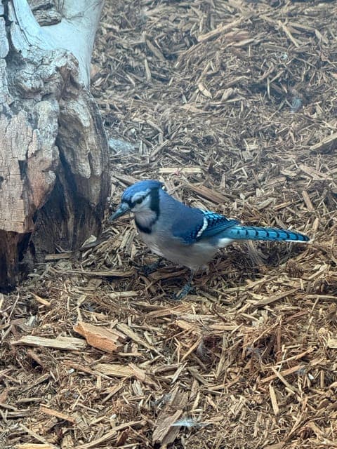 undefined Gallery Image 3