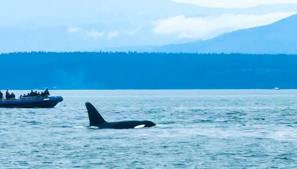 undefined Gallery Image 2