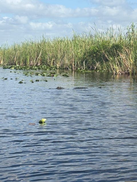 undefined Gallery Image 2