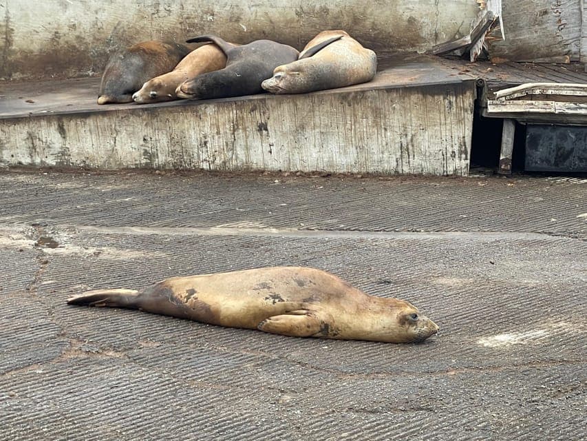 undefined Gallery Image 3