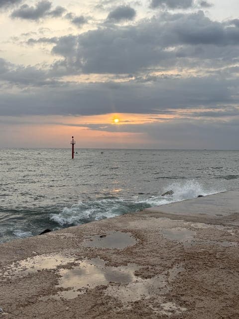 undefined Gallery Image 4