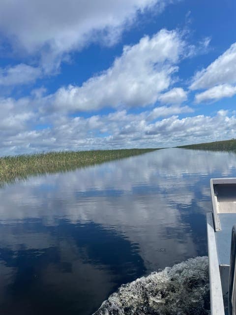 undefined Gallery Image 1