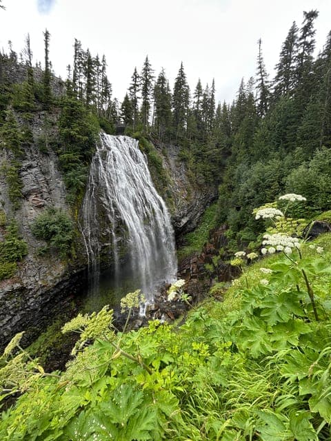 undefined Gallery Image 4