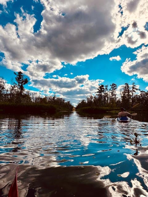 undefined Gallery Image 3