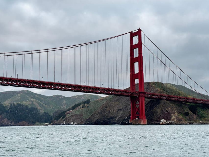 undefined Gallery Image 1