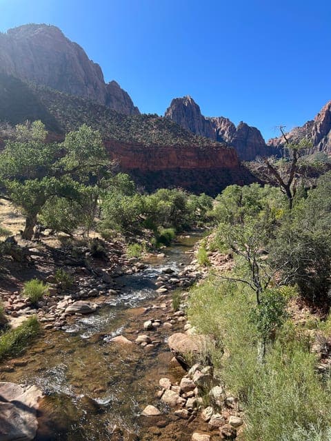 undefined Gallery Image 3