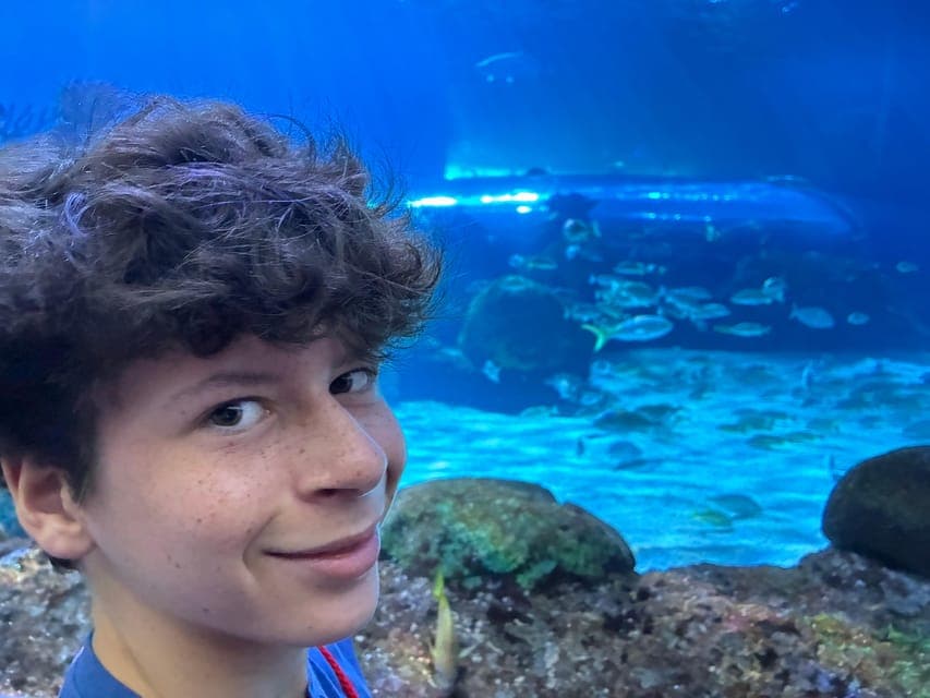 undefined Gallery Image 2