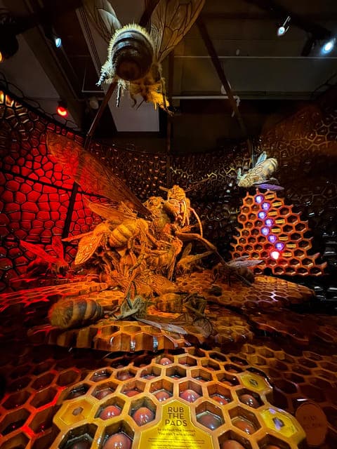 undefined Gallery Image 3