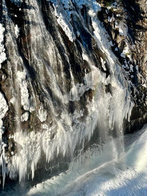 undefined Gallery Image 4